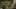 Game screenshot thumbnail 5