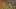 Game screenshot thumbnail 4