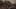 Game screenshot thumbnail 4