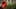 Game screenshot thumbnail 3