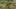 Game screenshot thumbnail 2