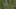 Game screenshot thumbnail 2