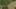 Game screenshot thumbnail 4