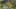 Game screenshot thumbnail 1