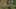 Game screenshot thumbnail 1