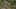 Game screenshot thumbnail 2