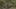 Game screenshot thumbnail 3