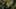 Game screenshot thumbnail 1