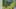 Game screenshot thumbnail 2
