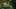 Game screenshot thumbnail 2