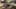 Game screenshot thumbnail 5