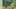 Game screenshot thumbnail 2