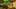 Game screenshot thumbnail 3