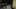 Game screenshot thumbnail 4
