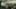 Game screenshot thumbnail 1