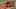 Game screenshot thumbnail 4