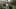 Game screenshot thumbnail 1