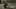 Game screenshot thumbnail 2