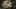 Game screenshot thumbnail 4