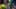 Game screenshot thumbnail 1