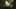 Game screenshot thumbnail 2