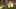 Game screenshot thumbnail 2