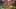 Game screenshot thumbnail 2