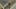 Game screenshot thumbnail 4