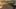 Game screenshot thumbnail 2