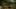 Game screenshot thumbnail 1