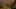 Game screenshot thumbnail 4