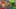 Game screenshot thumbnail 1