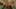 Game screenshot thumbnail 2