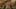 Game screenshot thumbnail 5