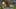Game screenshot thumbnail 5