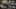 Game screenshot thumbnail 2