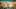 Game screenshot thumbnail 1