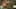 Game screenshot thumbnail 1