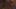 Game screenshot thumbnail 1