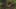 Game screenshot thumbnail 2