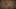 Game screenshot thumbnail 5