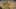 Game screenshot thumbnail 2