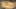 Game screenshot thumbnail 2