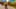 Game screenshot thumbnail 5