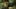 Game screenshot thumbnail 1