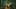 Game screenshot thumbnail 5