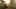 Game screenshot thumbnail 1