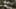 Game screenshot thumbnail 1