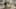 Game screenshot thumbnail 2