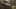 Game screenshot thumbnail 2